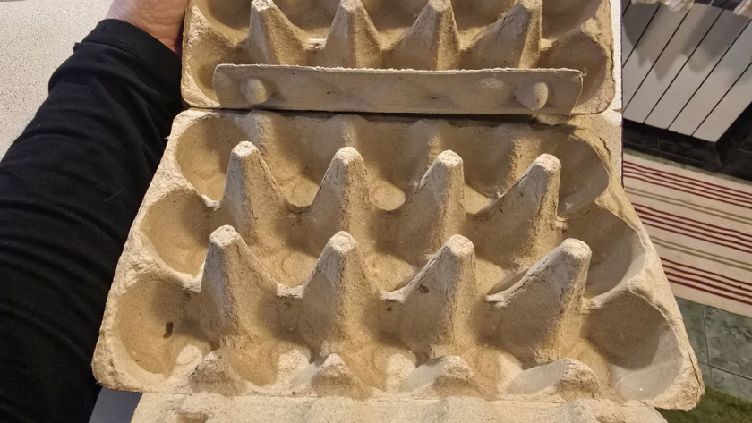    Фото Анастасии Дмитриевой