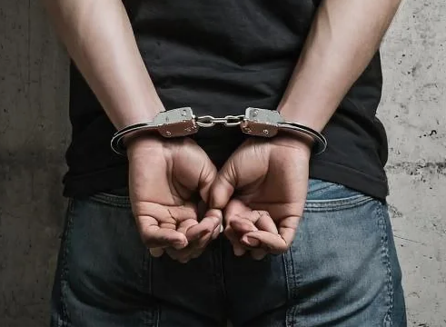 Фото УМВД России по Костромской области. 