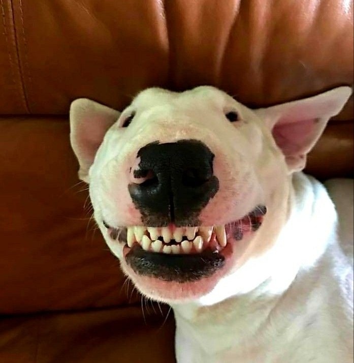 -Иду я, значит... а пирожок на меня, как прыгнет!