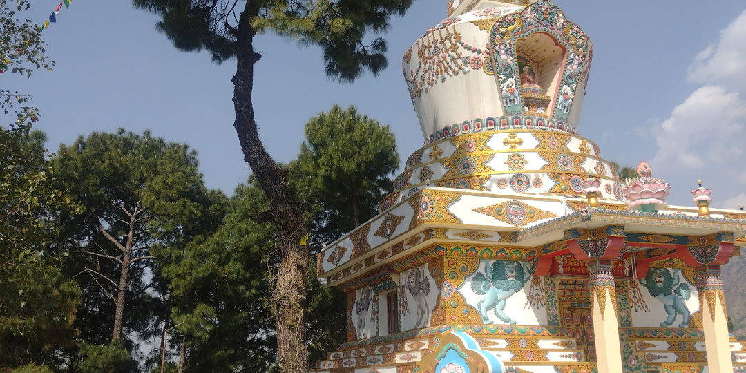 Карма и свободная воля