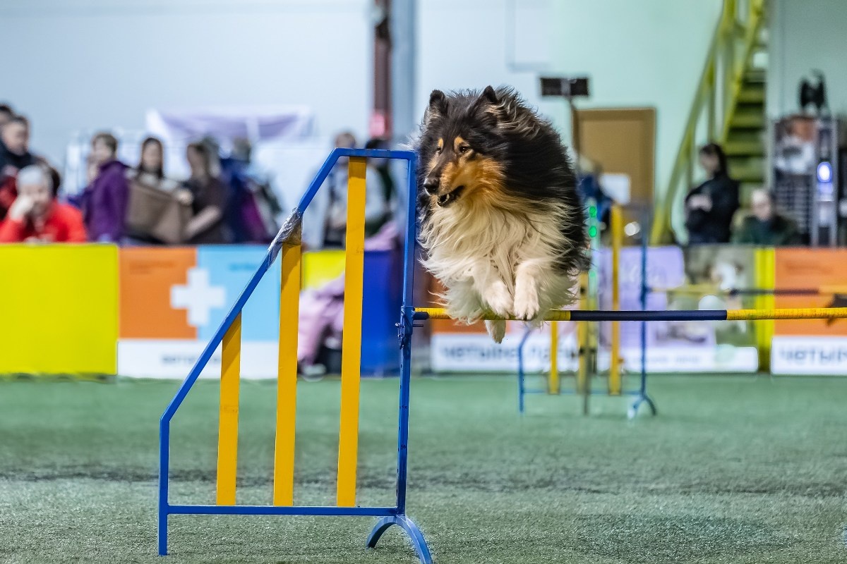 Фото: Ольга Заглубоцкая