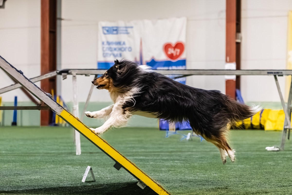 Фото: Ольга Заглубоцкая