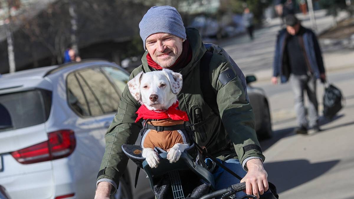    Фото: Василий Кузьмиченок / АГН Москва