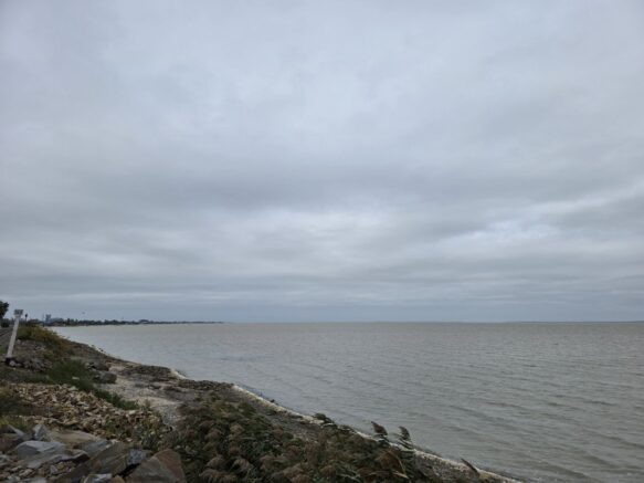    Элина Болдырева