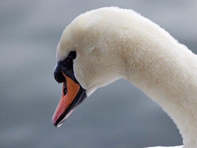   Фото: портал мэра и правительства Москвы/Максим Денисов