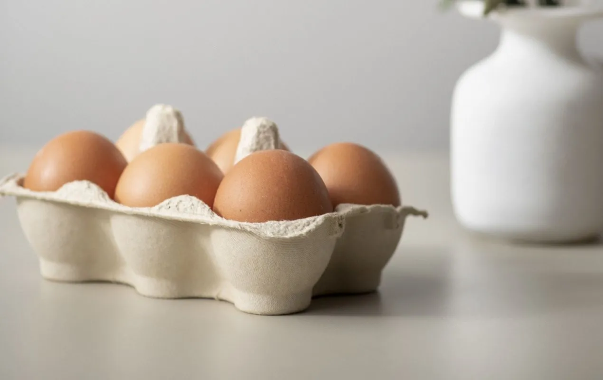 Фото: ru.freepik.com