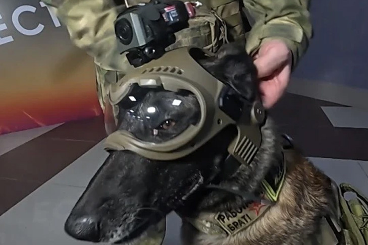    Фото Росгвардия. Сибирский округ