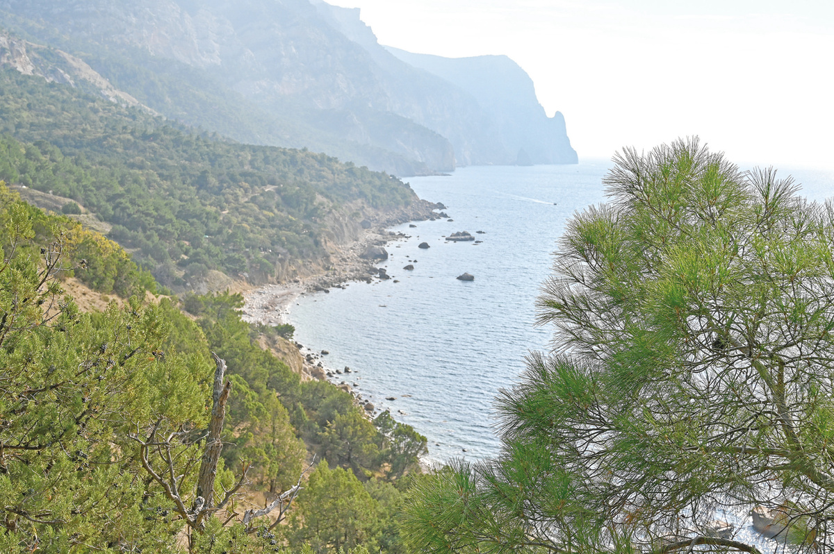 Фото: Гала Амарандо