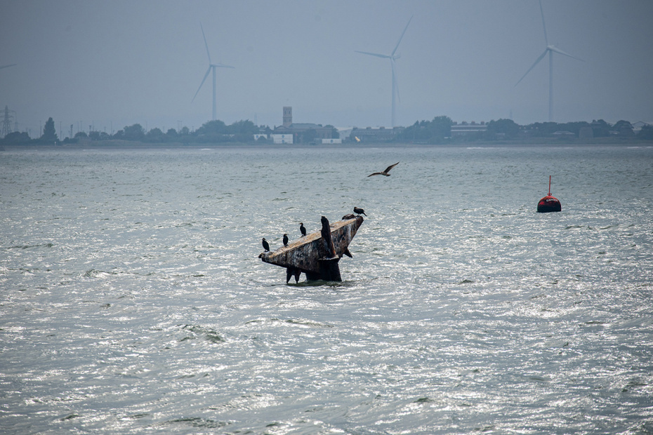    Krisztian Elek/Keystone Press Agency/Global Look Press