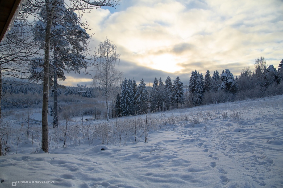    фото: @Людмила Корвякова, "Столица на Онего"