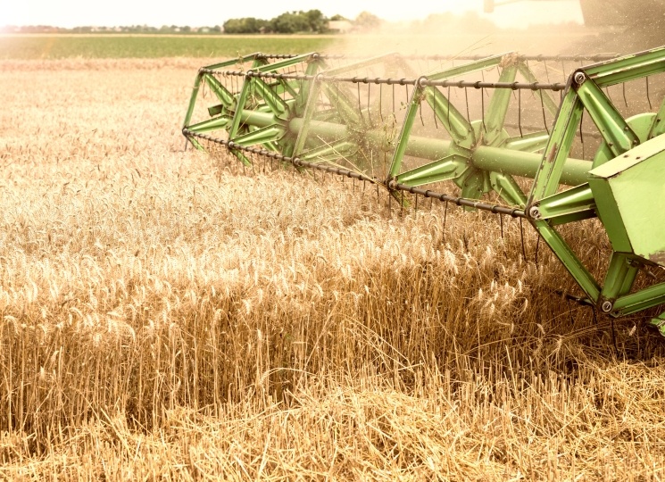 Сельское хозяйство в 2025 году потеряло более 100 млрд рублей прибыли