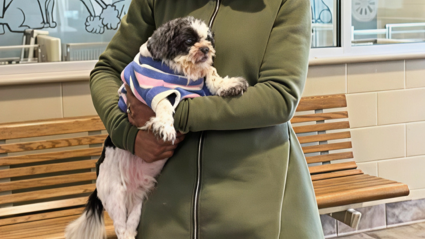    Фото: facebook*/Mahoning County Dog Warden