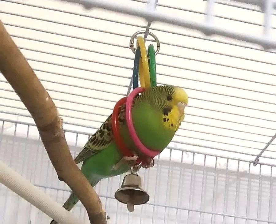 А вы так умеете?