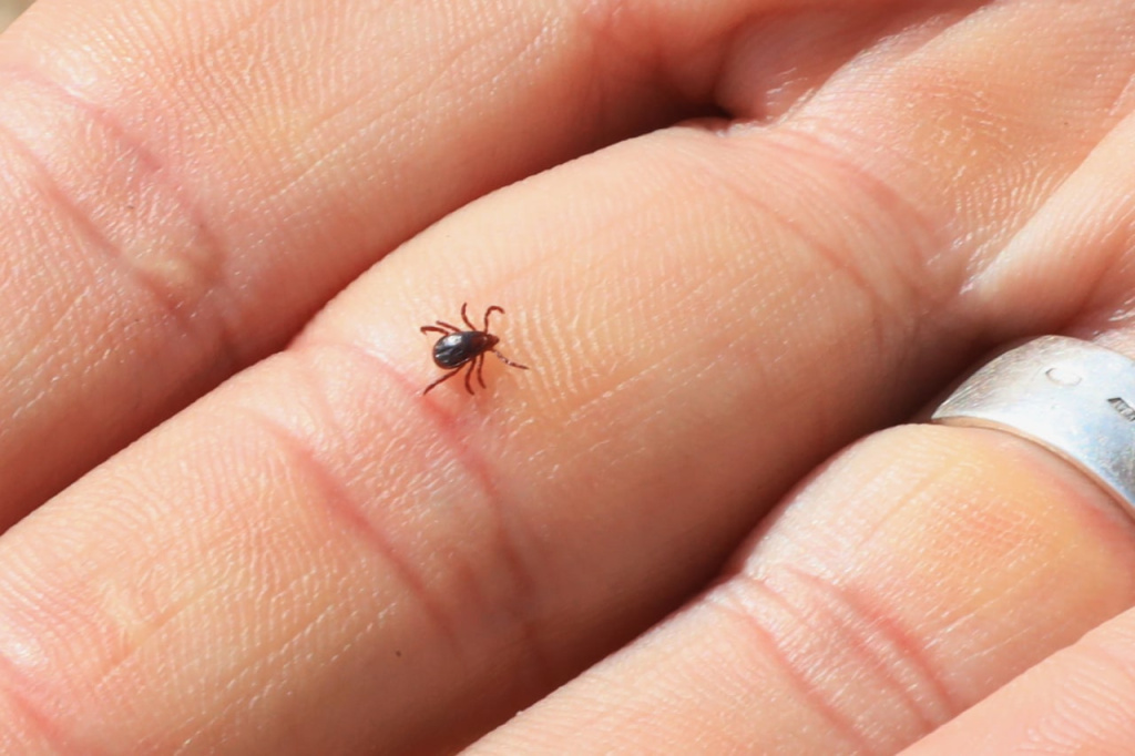 Фото: Наталья Сомова