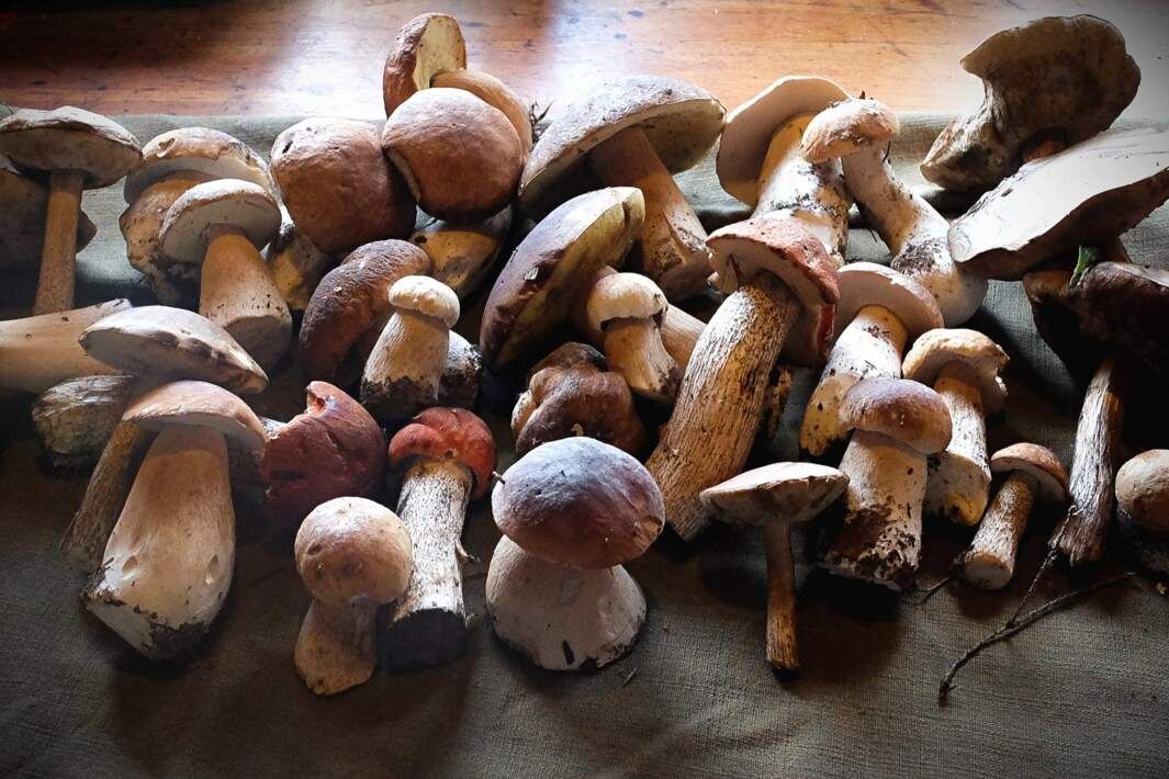 Фото: ИЗВЕСТИЯ/Василий Джапаридзе
