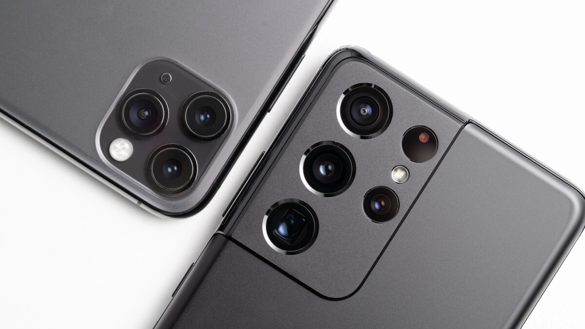    Фото: mokjc/Shutterstock/Fotodom