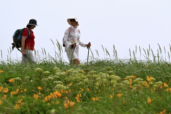 Фото: Виталий Аньков/РИА Новости