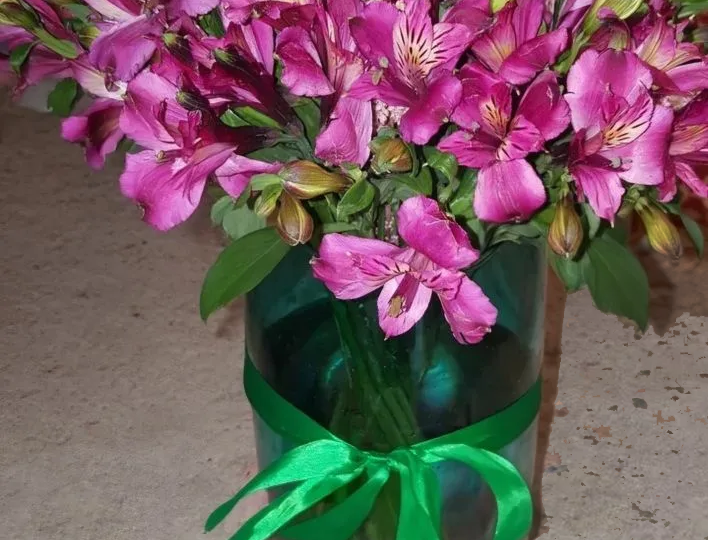 Маше с любовью от "Котоблога" 😻