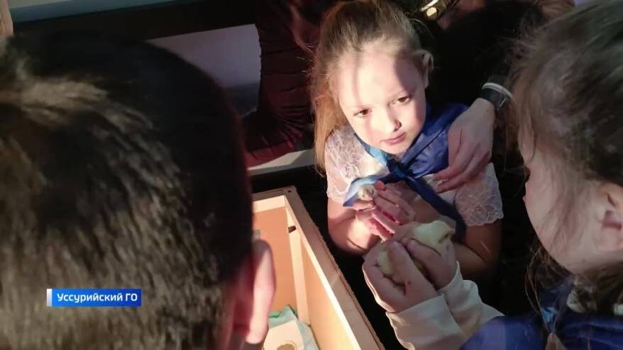    Источник фото: