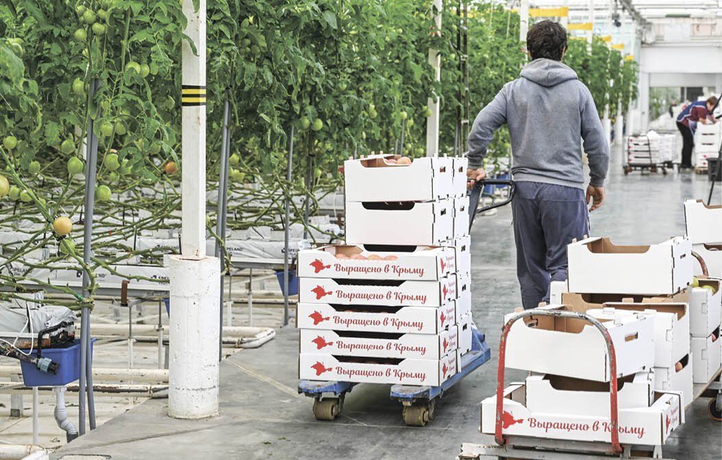 Фото: Наталья Сомова