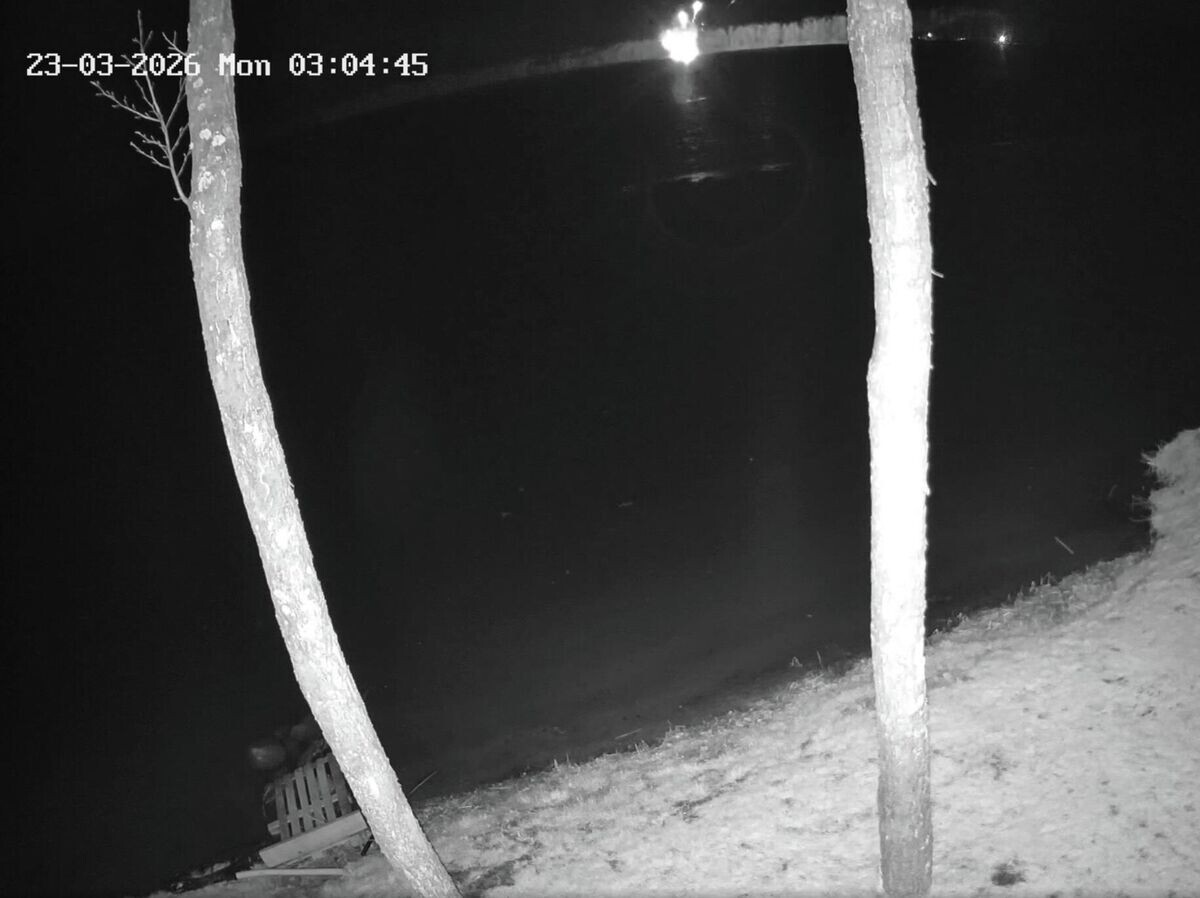    Падение дрона в Варенском районе на территории Литвы | © Стоп-кадр видео с камеры видеонаблюдения