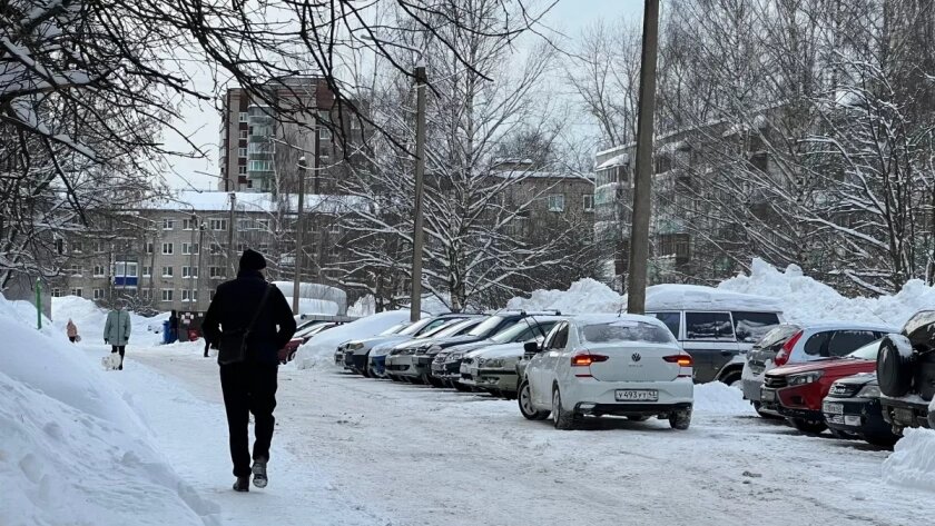    Фото progorod43.ru