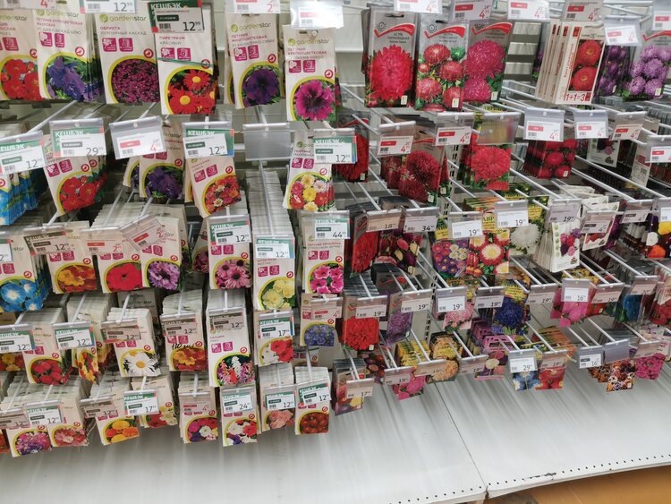    Фото: Лукьянов Дмитрий, AgroXXI.ru