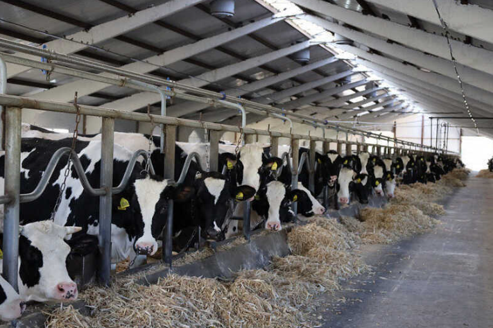 Комплекс КРТ в Саратовской области. Источник: sdelanounas.ru