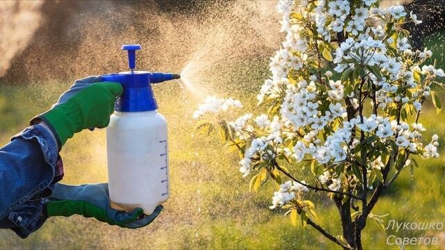 Железный и медный купорос: полное руководство по применению в саду