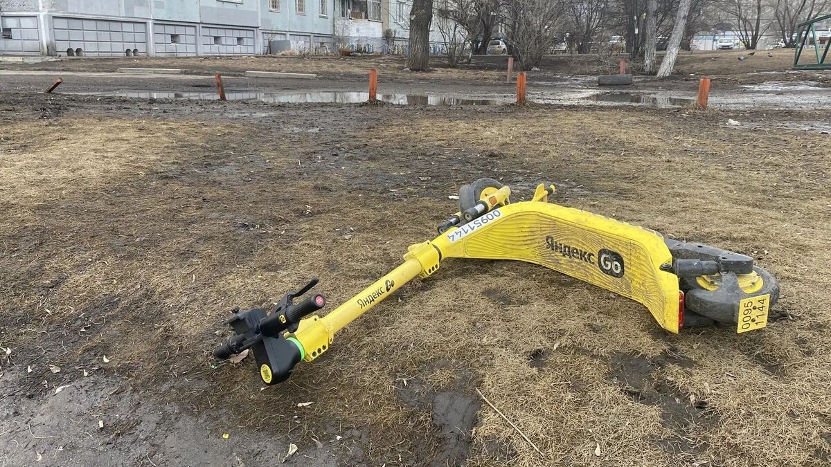    Самокаты уже устали после первого дня работы   prmira.ru