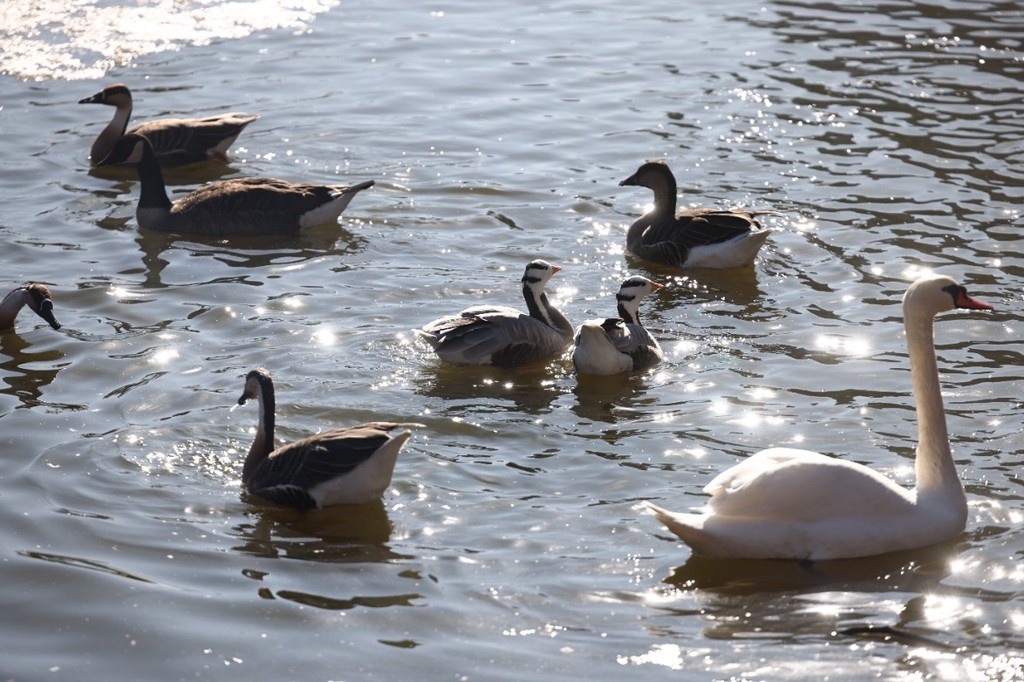    Фото © Анастасия Романова / Абзац