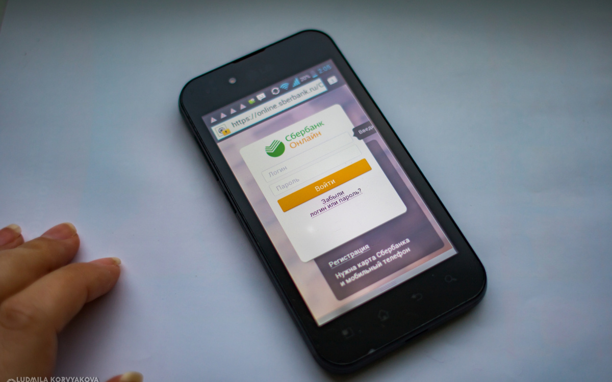    фото: Столица на Онего