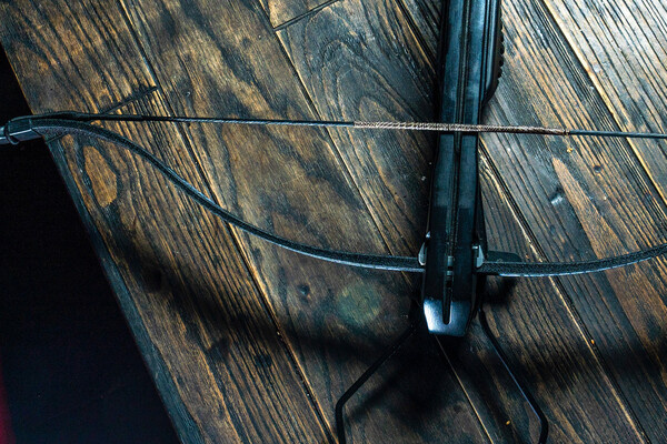 kalyanby/Shutterstock/FOTODOM   📷