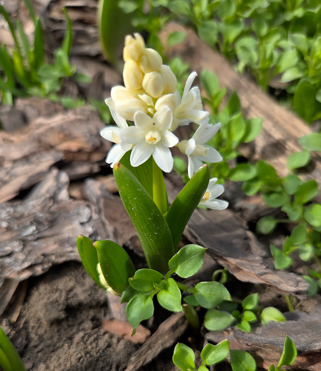 Фото: автора