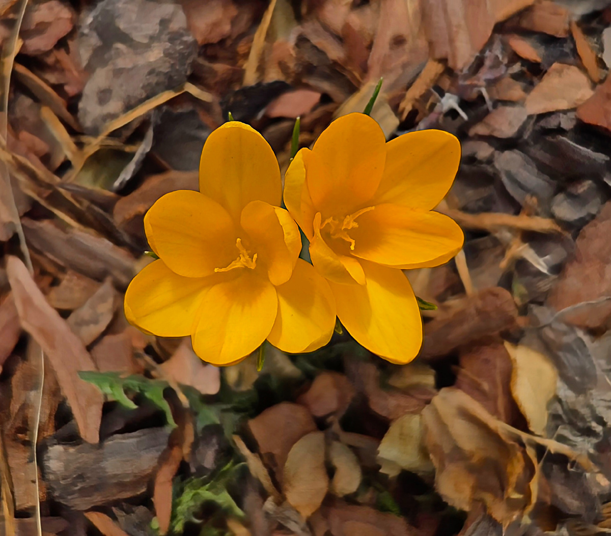 Фото: автора