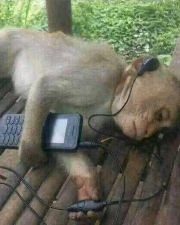 Всё получится! Главное терпение и не сдаваться!