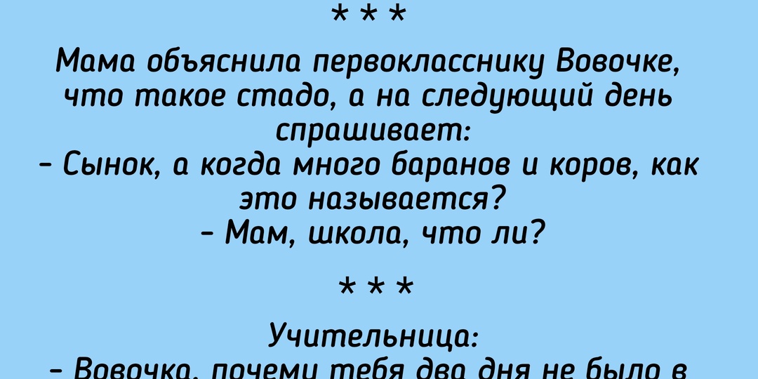 Школьный юмор: Вовочка - легенда анекдотов
