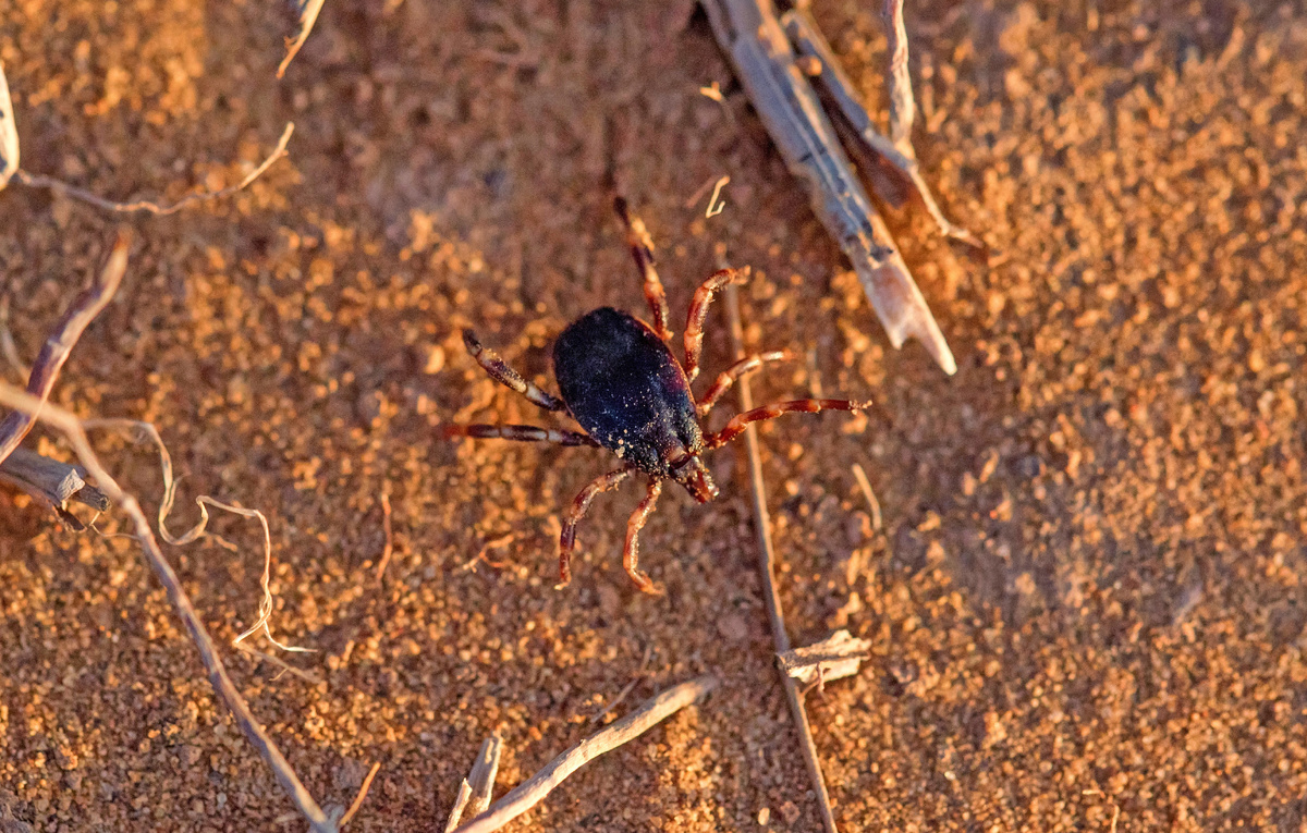 Yakov Oskanov/Shutterstock/FOTODOM