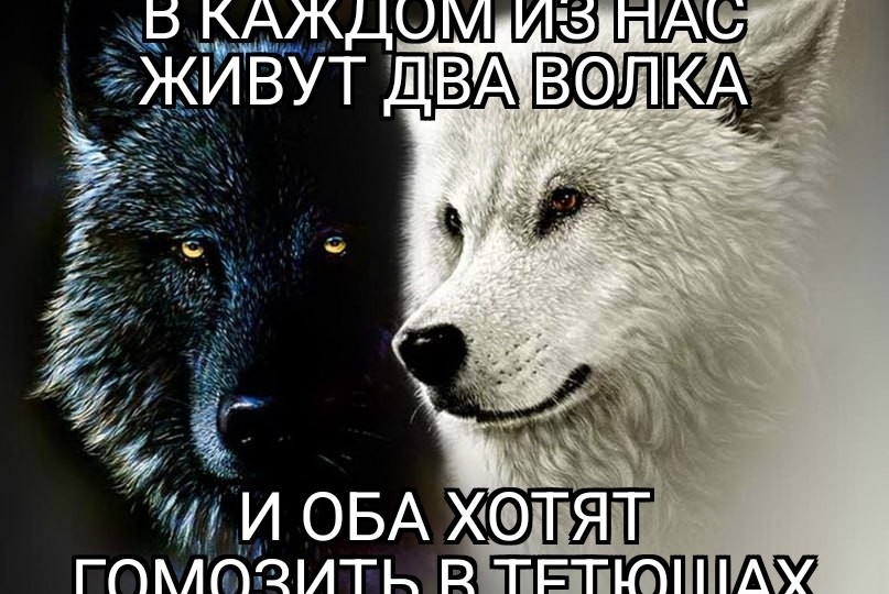 Тетюшанская гомоза́́