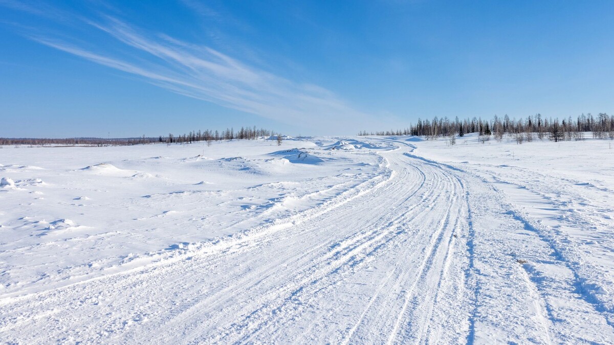    Фото: Федор Воронов/«Ямал-Медиа»