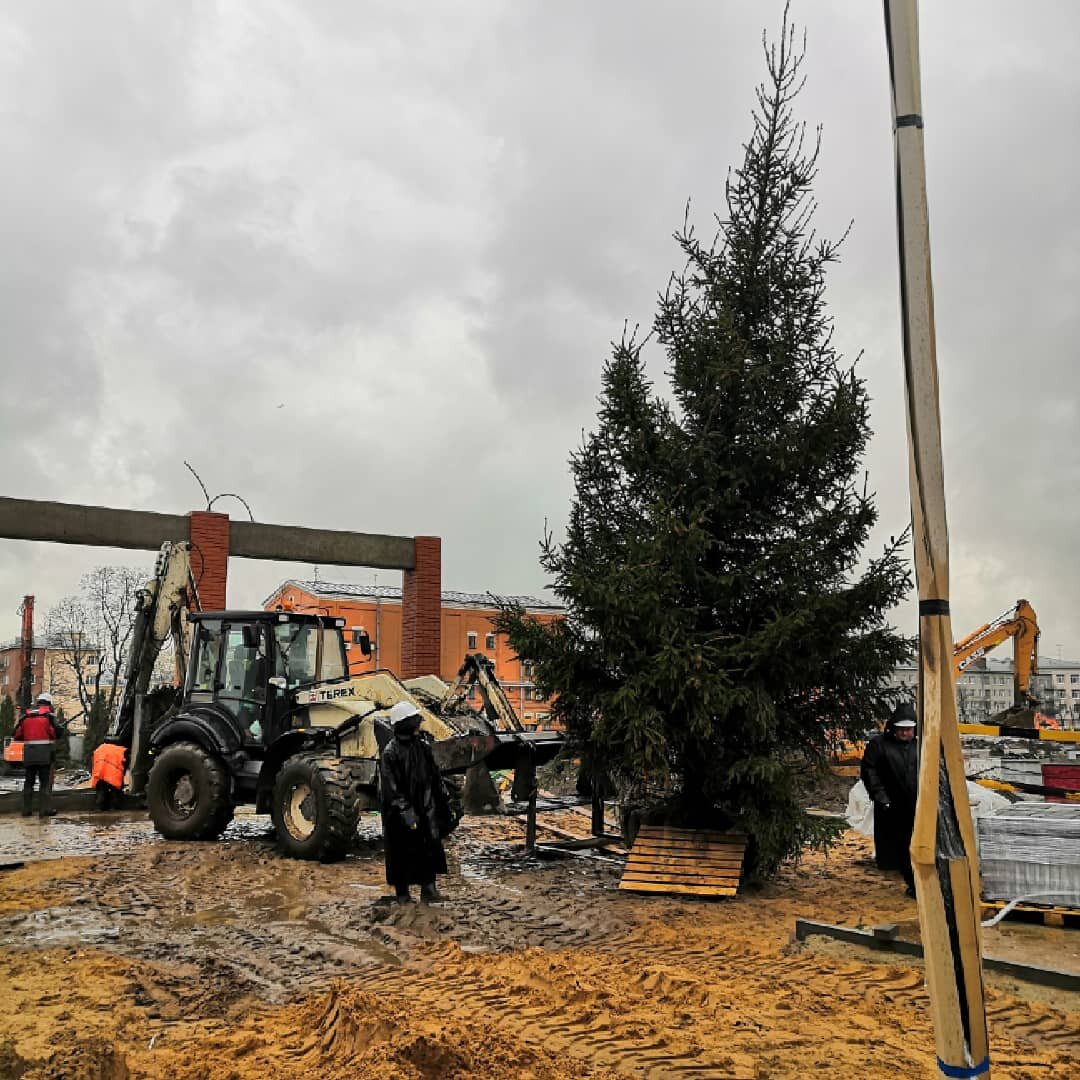 Стройка идет, а ель стоит