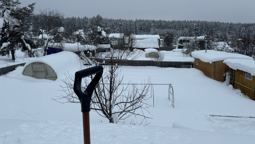    Фото: progorod43.ru