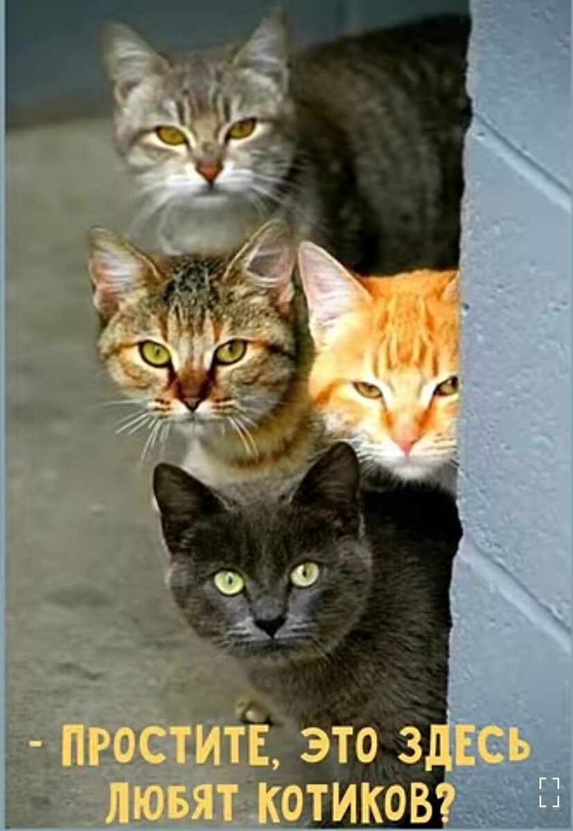 фото из интернета