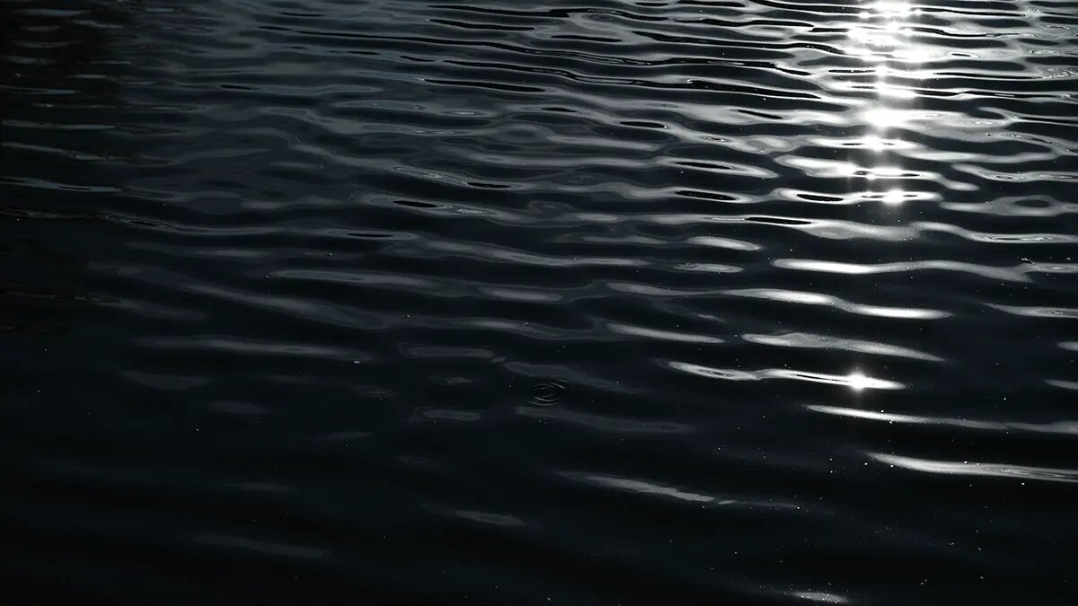    Источник: vm.ru/ Николай