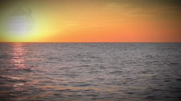 Фото: свободный доступ.