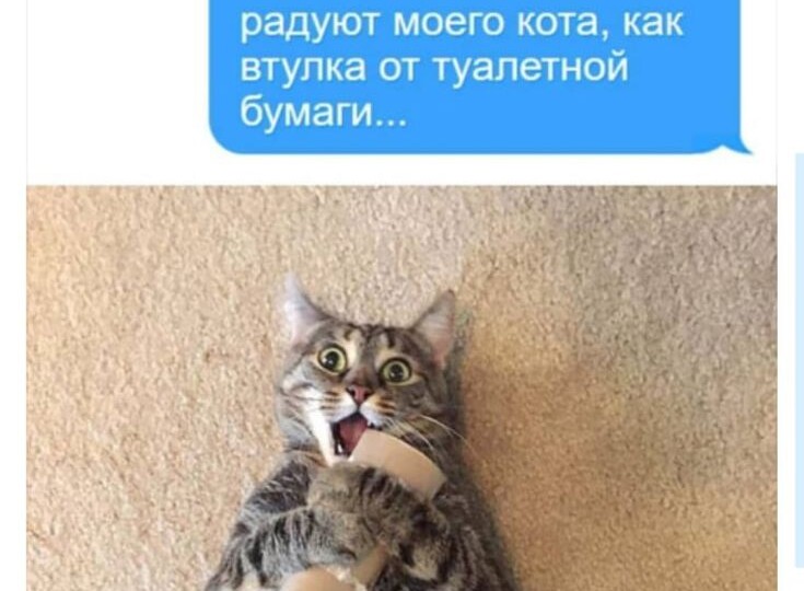 Забавные мемы