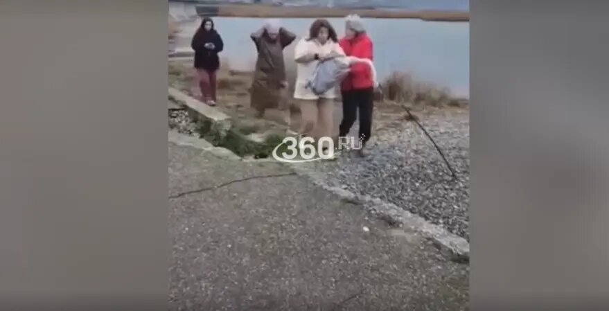    Фото: скриншот видео 360.ru