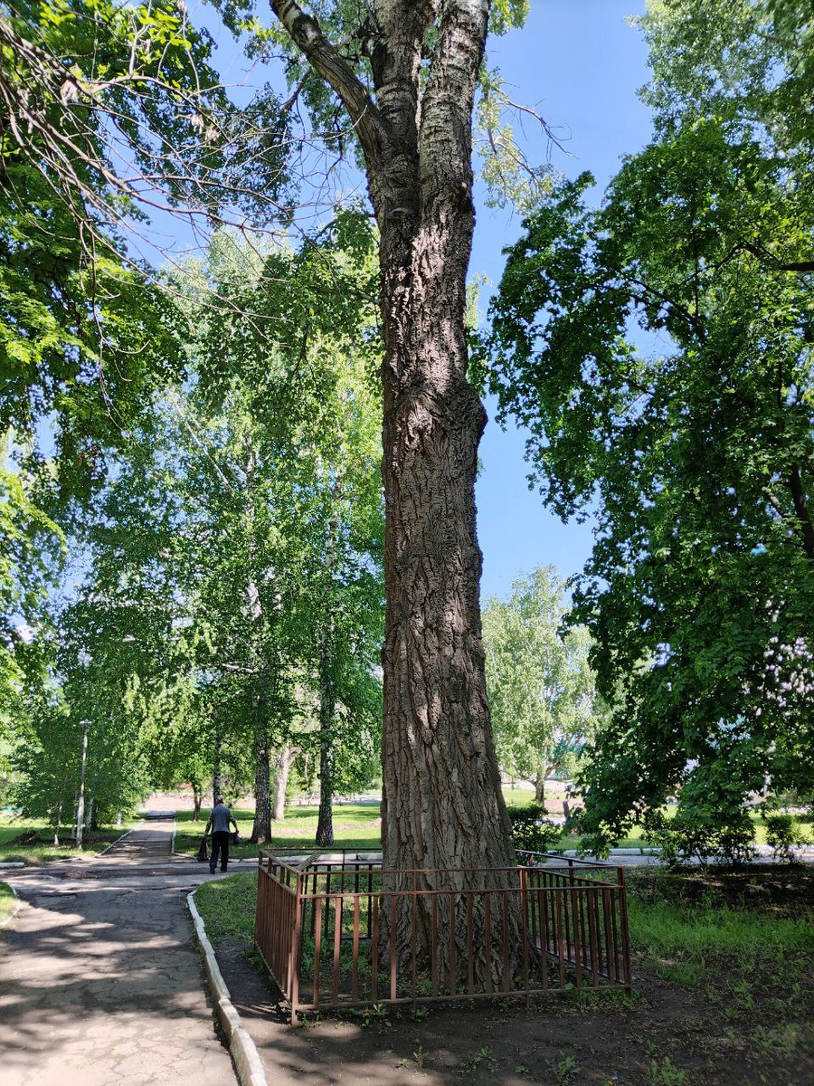 Фото автора.