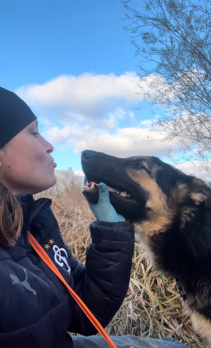 - Я так хочу, чтобы ты стала домашней!- И я! Давай хотеть вместе!