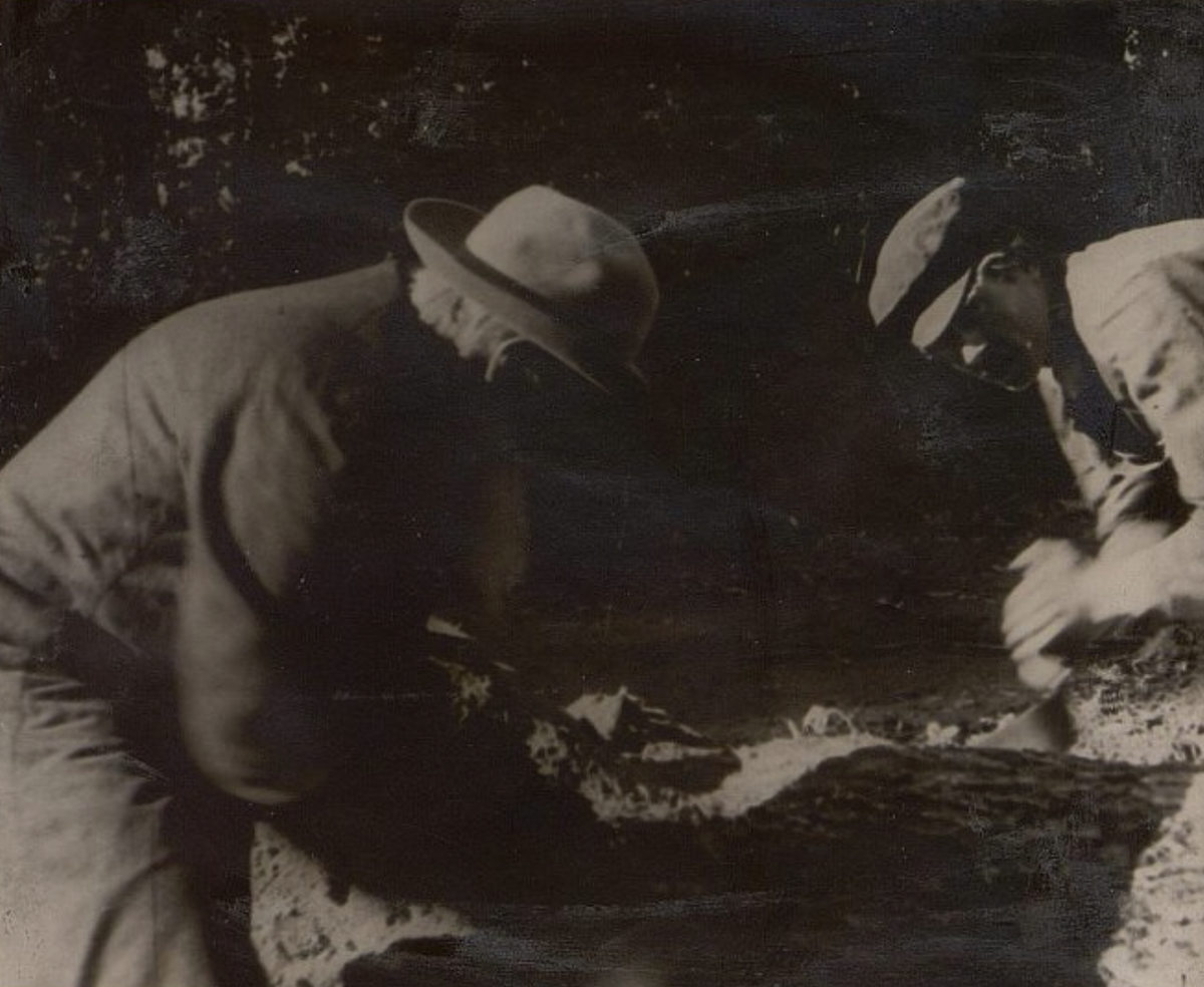 Л.Н.Толстой пилит дерево с рабочим. Автор: Дранков А.О. 1910 г. Кочеты, Государственный музей-заповедник Л.Н. Толстого